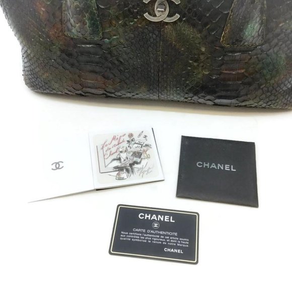 Chanel Green/Brown Multi Python Skin Cerf Tote - Picture 11 of 12